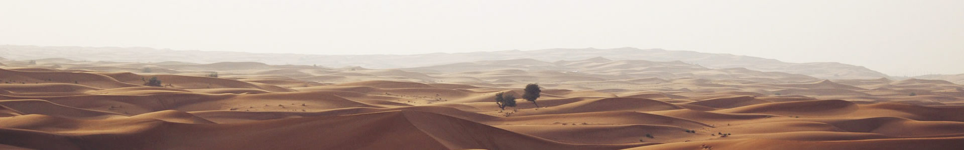 ݸƷ޹˾